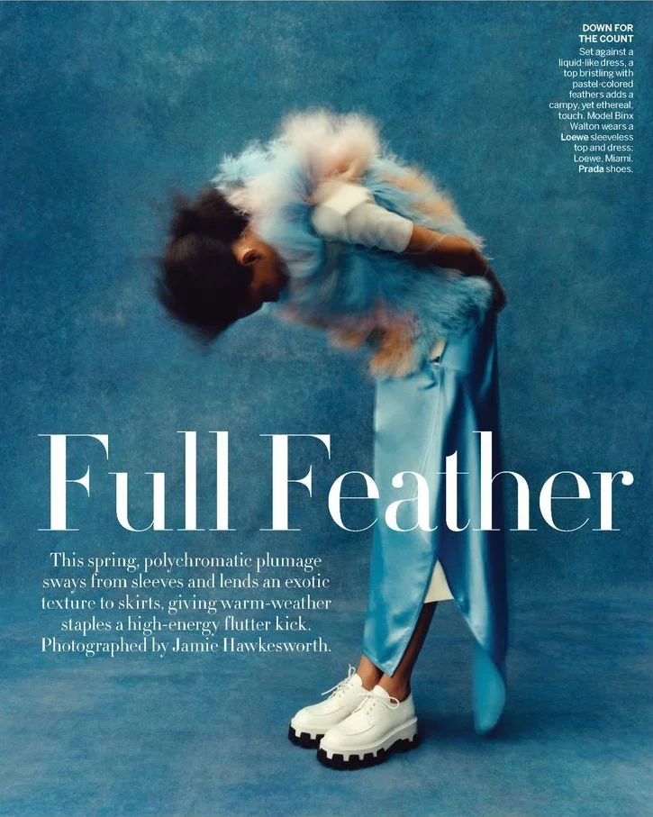 Jamie Hawkesworth Eyes 'Full Feather' With Binx, Nora +